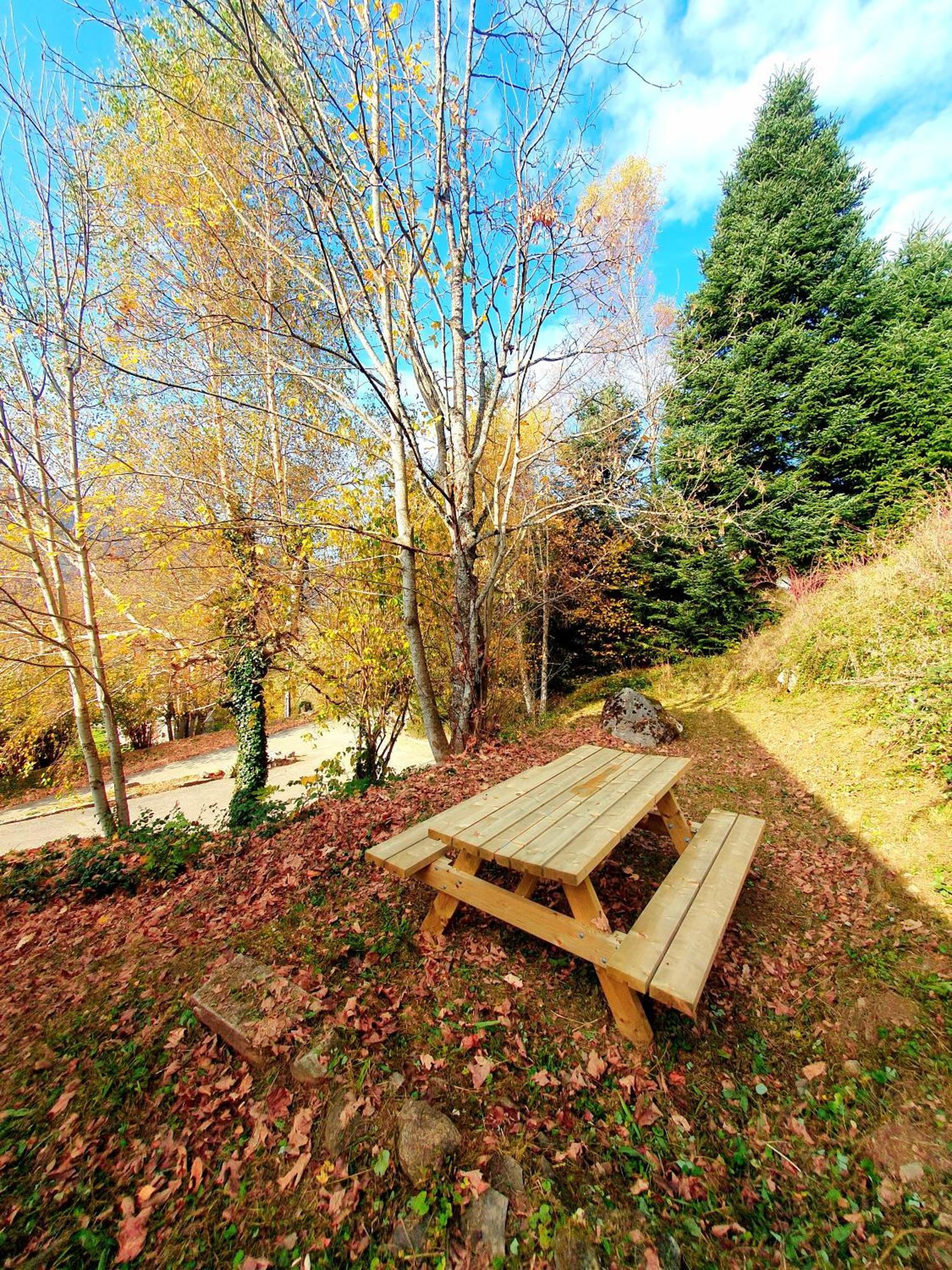 Bienvenue Dans Le Chartreuse 2 A 6 Couchages Lejlighed Cholonge Eksteriør billede